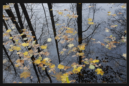  DSC0020 Spiegelung